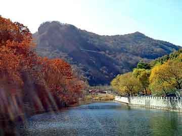 37岁女星江若琳突发车祸，神奇全景画中画